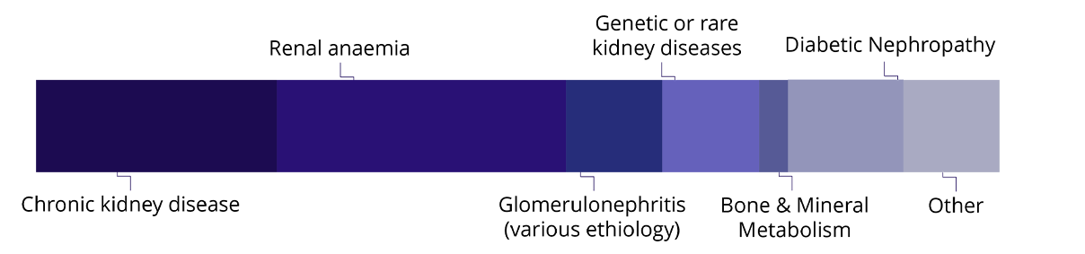 Nephrology_DISEASE EXPERIENCE https://stage-review.accelsiors.com/wp-content/uploads/2023/07/Nephrology_DISEASE-EXPERIENCE.png
