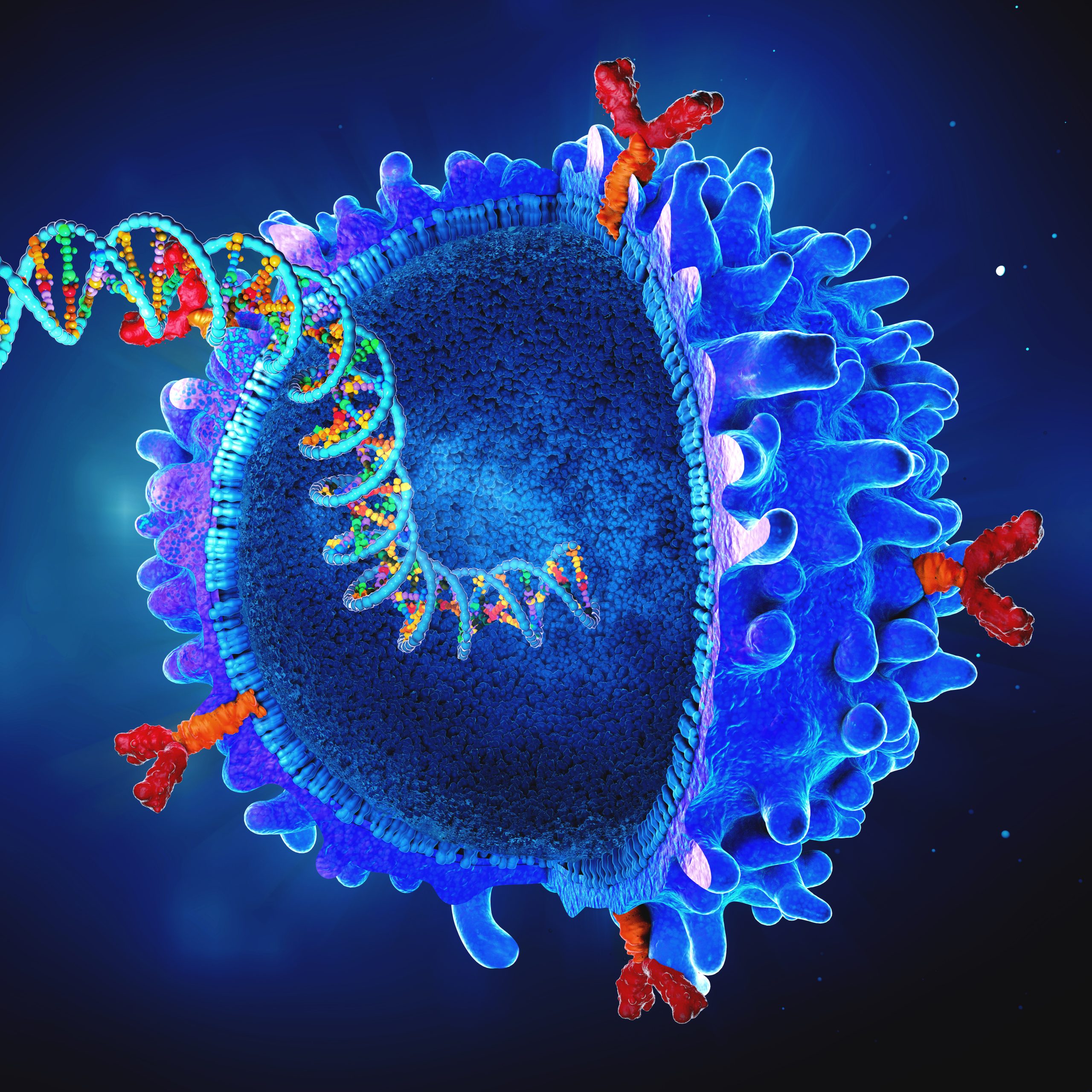 Genetically engineered chimeric antigen receptor immune cell wit Genetically engineered chimeric antigen receptor immune cell with implanted gene strand - 3d illustration